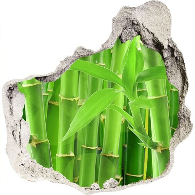 Autocollant mural trou Forêt de bambous verts