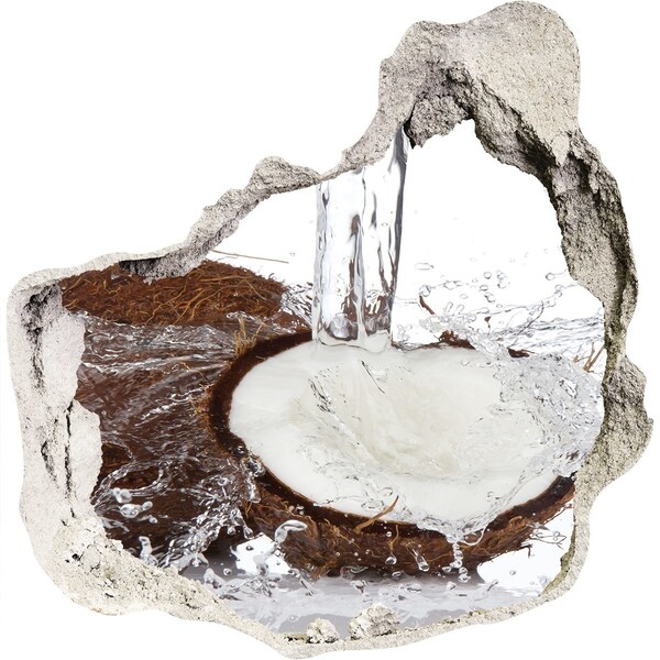 Autocollant mural trou Noix de coco dans un ruisseau d'eau