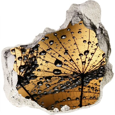 Sticker trou dans le mur Des gouttes sur les feuilles