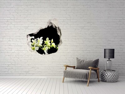 Autocollant à effet 3d trou Un rêve floral derrière le mur