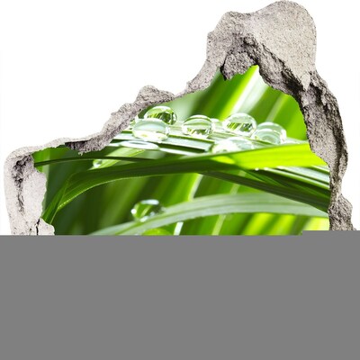 Autocollant à effet 3d trou Prairie verte parsemée de gouttes d'eau