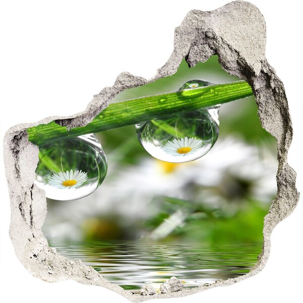 Sticker trou dans le mur Oasis florale avec des gouttes d'eau