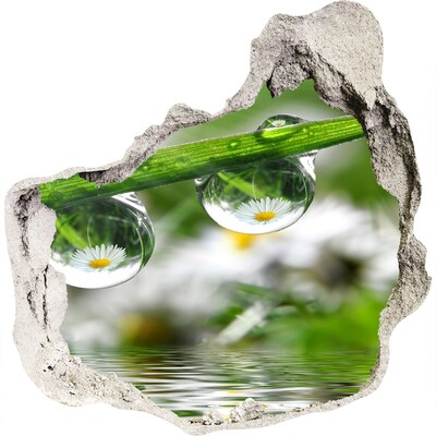 Sticker trou dans le mur Oasis florale avec des gouttes d'eau