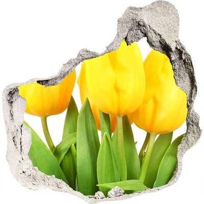 Autocollant à effet 3d trou Des tulipes dans un trou dans le mur