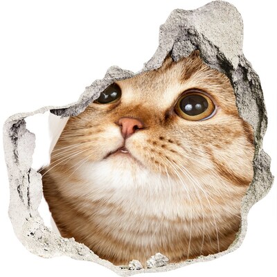 Autocollant à effet 3d trou Chat dans un trou dans le mur