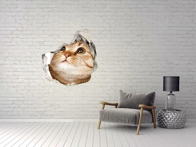 Autocollant à effet 3d trou Chat dans un trou dans le mur