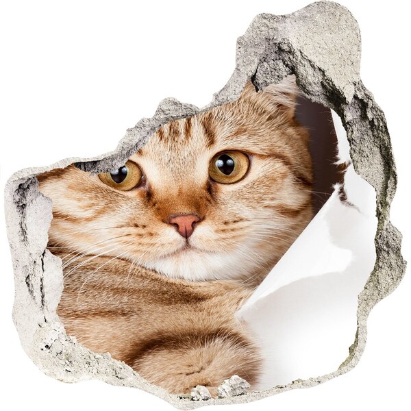 Sticker trou dans le mur Chat dans un trou dans le mur