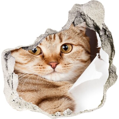 Sticker trou dans le mur Chat dans un trou dans le mur