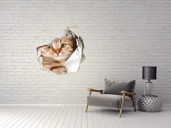 Sticker trou dans le mur Chat grès