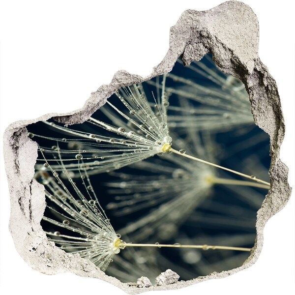 Autocollant à effet 3d trou Fleurs de pissenlit dans l'eau