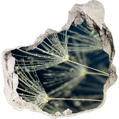 Autocollant à effet 3d trou Fleurs de pissenlit dans l'eau