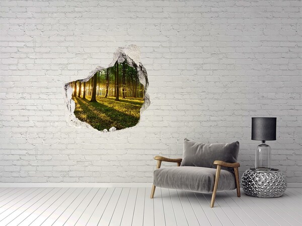 Sticker mural effet trou Forêt dorée au matin