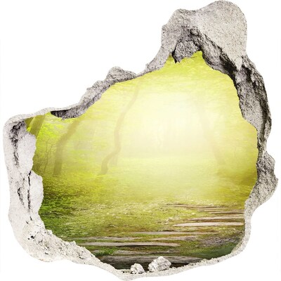 Sticker mural effet trou Forêt verte sous les rayons du soleil