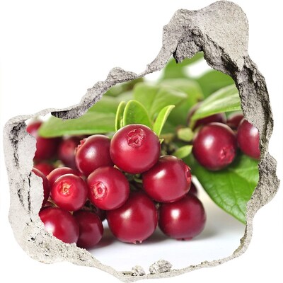 Autocollant mural trou Trou fruité dans le mur