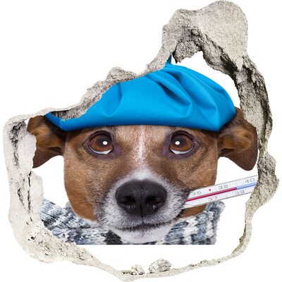 Sticker trou dans le mur Chien malade avec un chapeau