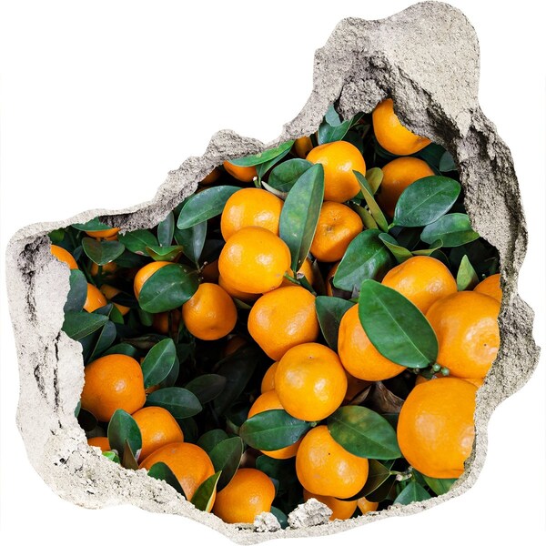 Sticker trou dans le mur Fruits dans l'orangerie