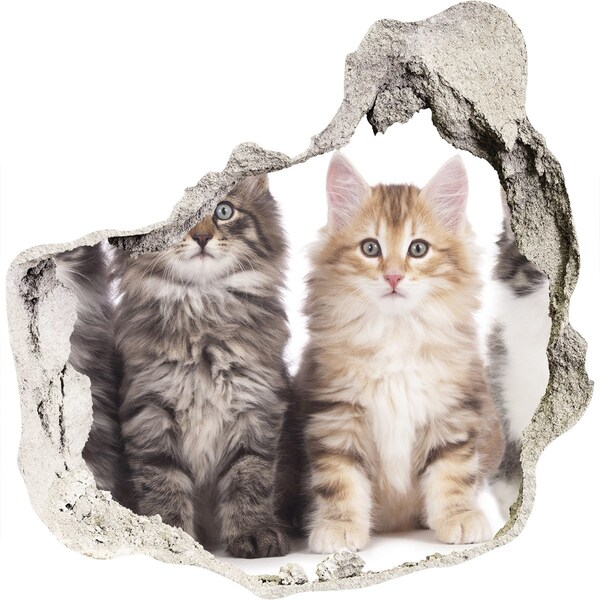 Autocollant à effet 3d trou Six chats grès