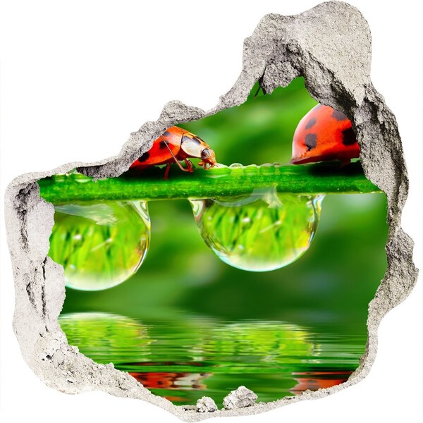 Autocollant à effet 3d trou Une goutte de nature avec une coccinelle