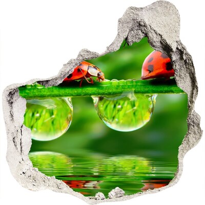 Autocollant à effet 3d trou Une goutte de nature avec une coccinelle