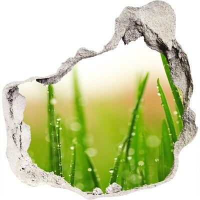 Sticker trou dans le mur Prairie verte parsemée de gouttes d'eau