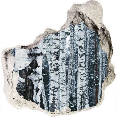 Sticker trou dans le mur forêt de bouleaux en hiver