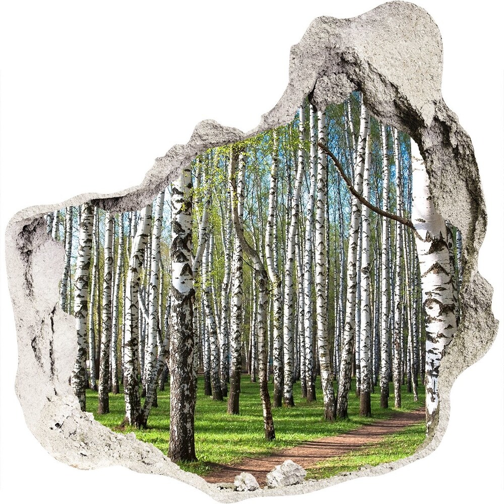 Sticker mural effet trou Forêt de bouleau grès