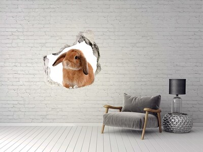 Autocollant mural trou Lapin dans un trou dans le mur