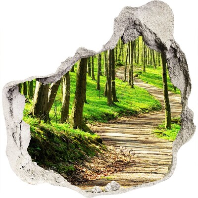 Sticker mural effet trou Sentier forestier au soleil