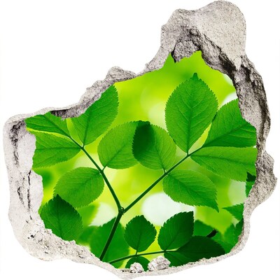 Autocollant à effet 3d trou Une oasis de verdure en béton