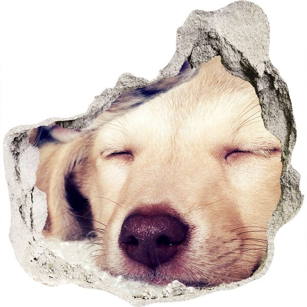 Autocollant mural trou Chien mignon dans un trou dans le mur