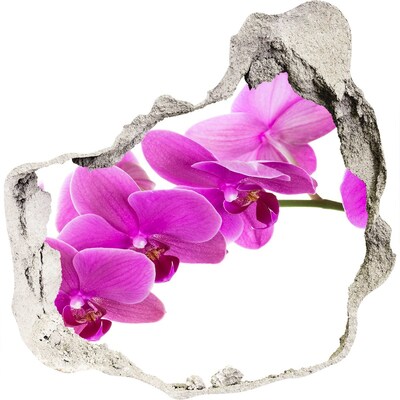 Autocollant à effet 3d trou Des orchidées à travers un trou dans le mur