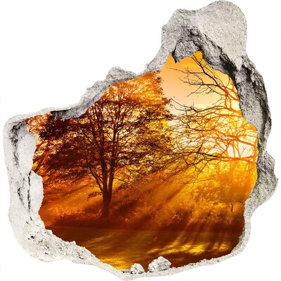 Sticker trou dans le mur Rayons dorés du soleil dans la forêt