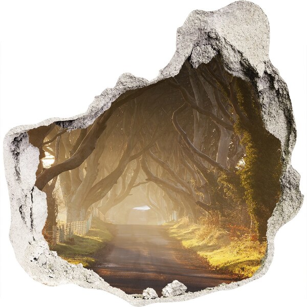 Autocollant mural trou Un chemin parmi les arbres