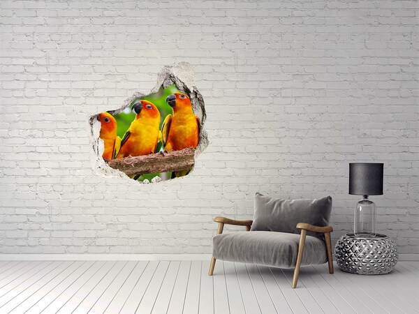 Autocollant à effet 3d trou Perroquets tropicaux dans un trou dans le mur
