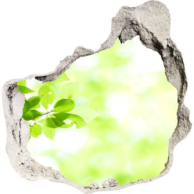 Autocollant à effet 3d trou Un paradis verdoyant derrière le mur