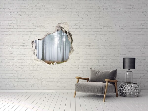 Sticker mural effet trou Forêt brumeuse