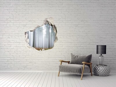 Sticker mural effet trou Forêt brumeuse