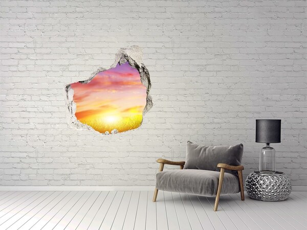 Sticker mural effet trou Coucher de soleil sur la prairie