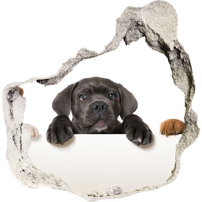 Autocollant à effet 3d trou Adorable chiot caché derrière le mur