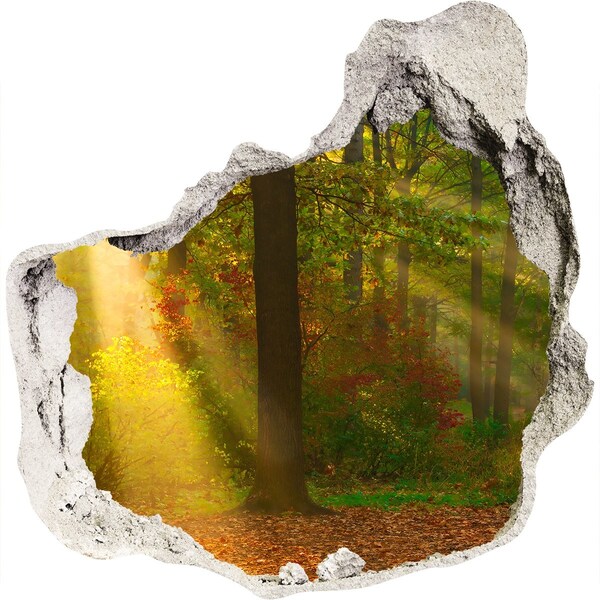 Sticker mural effet trou Paysages forestiers d'automne