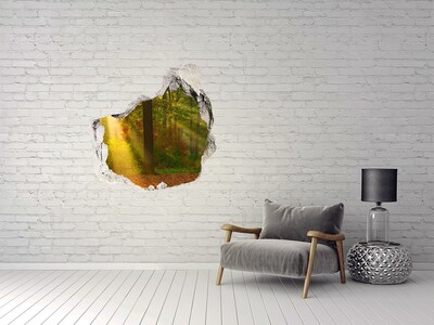 Sticker mural effet trou Paysages forestiers d'automne