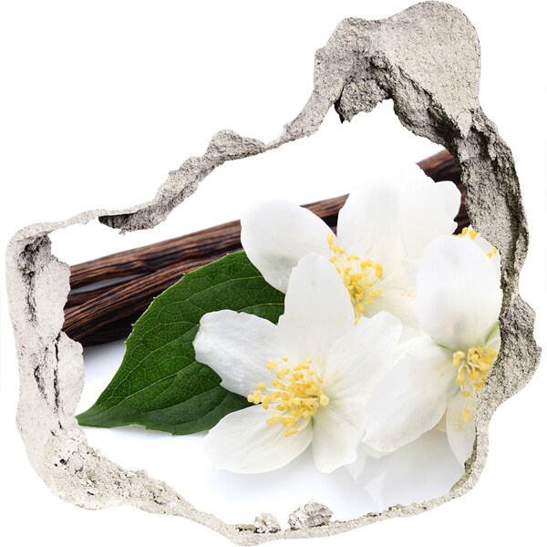 Sticker trou dans le mur Fleurs de jasmin dans du béton