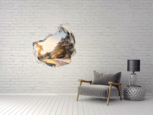 Sticker trou dans le mur Paysage d'hiver en forêt