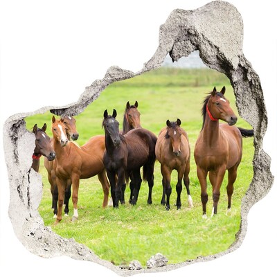 Sticker trou dans le mur Un troupeau de chevaux dans la prairie grès