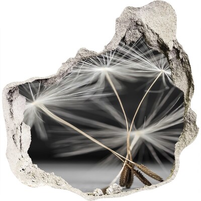 Sticker trou dans le mur Fleurs de pissenlit dans le béton