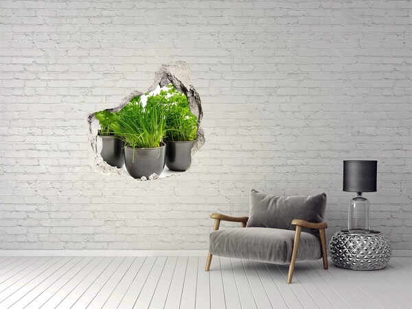 Sticker trou dans le mur Jardin vert en pots