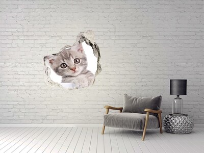 Autocollant à effet 3d trou Chaton dans un trou dans le mur