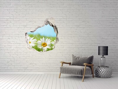 Sticker trou dans le mur Fleurs dans une prairie verte