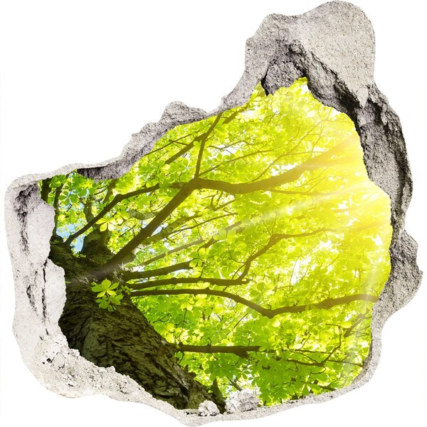 Sticker trou dans le mur Forêt verte sous les rayons du soleil