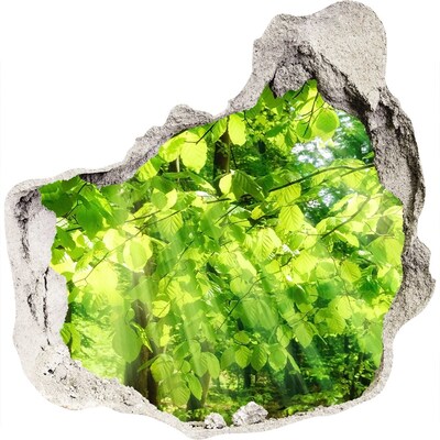 Sticker trou dans le mur Forêt verte sous les rayons du soleil